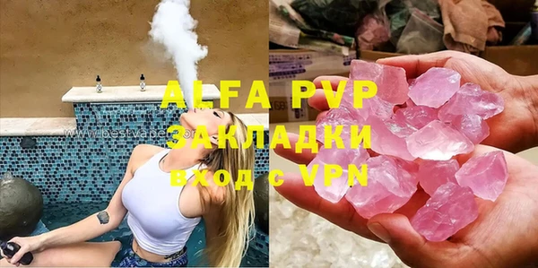 шишки Аркадак