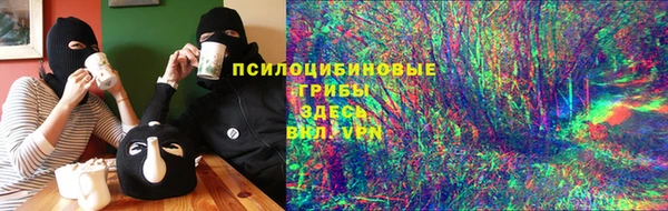 шишки Аркадак