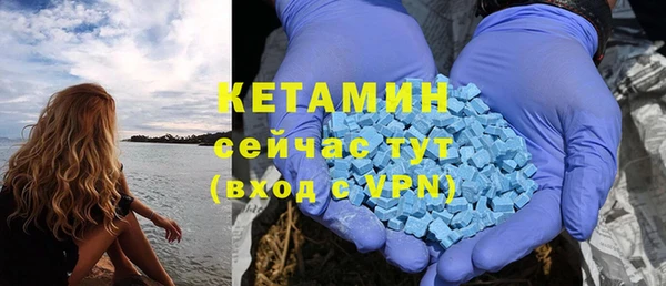 шишки Аркадак