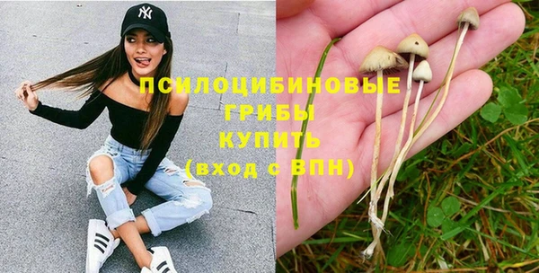 шишки Аркадак