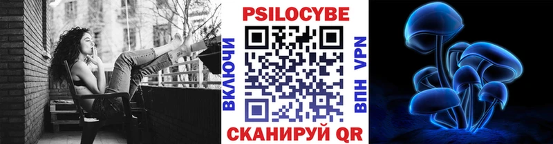 где продают   мега сайт  Галлюциногенные грибы Psilocybe  Байкальск 